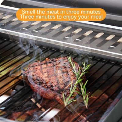 Portable Outdoor Camping BBQ Barbecue Gas Grill Smoke Stove with Steel Safety Device